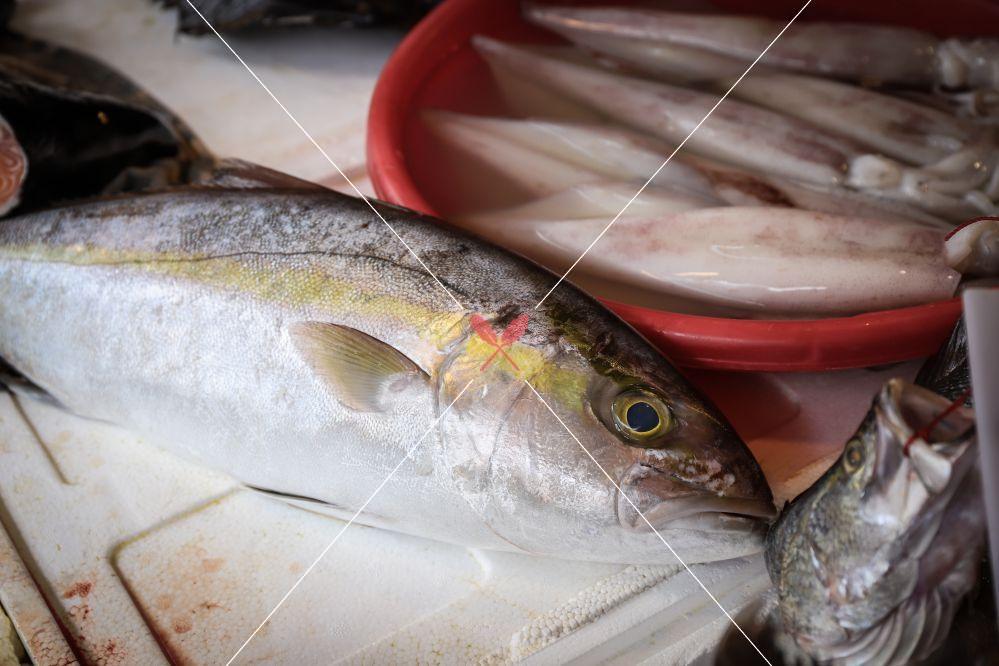 紅甘魚 生魚片最愛 認識紅 青魽 水產蔬果集 酸女孩的甜點料理手記 紅甘魚 生魚片最愛 認識紅 青魽 水產蔬果集 酸女孩的甜點料理手記